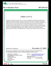 Update on CCA