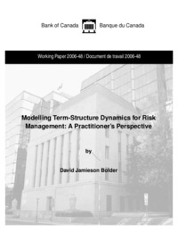 Modelling term-structure dynamics for risk management : a practitioner's             perspective