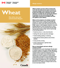 Wheat : one of the nine most common food allergens