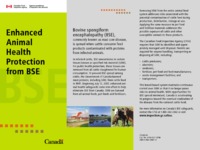 Enhanced animal health protection from BSE