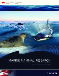 Marine mammal research : an overview
