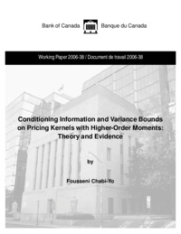 Conditioning information and variance bounds on pricing kernels with higher-order moments : theory and practice