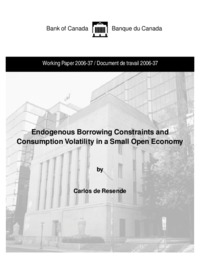 Endogenous borrowing constraints and consumption volatility in a small open economy