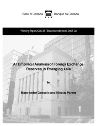 An empirical analysis of foreign exchange reserves in emerging Asia