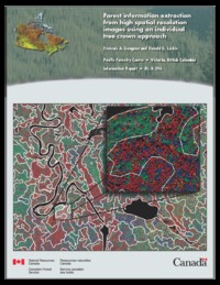 Forest information extraction from high spatial resolution images using an individual tree crown approach