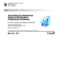 Accounting for greenhouse gases in the standard productivity framework
