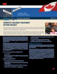 Domestic Violence Treatment Option project