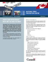 Youth gang involvement : what are the risk factors?