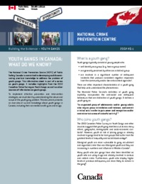 Youth gangs in Canada : what do we know?