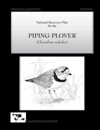 National recovery plan for the piping plover (Charadrius melodus)