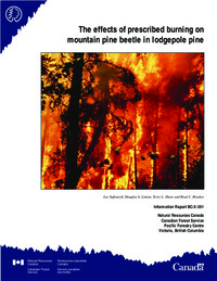 The effects of prescribed burning on mountain pine beetle in lodgepole pine