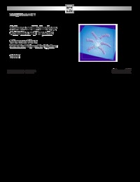 Science and technology activities and impacts : a framework for a statistical information system
