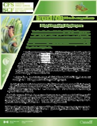 Blackheaded budworm