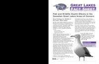 Fish and wildlife health effects in the Canadian Great Lakes areas of concern