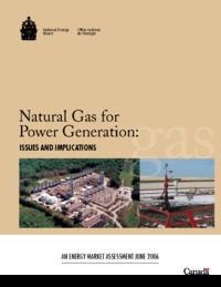Natural gas for power generation : issues and implications