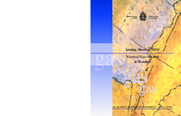 Looking ahead to 2010 : natural gas markets in transition
