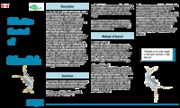 Effective control of silverfish